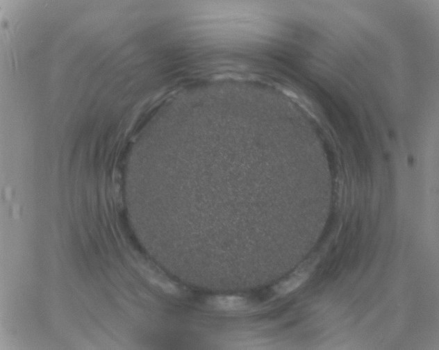 X0000065260361200602242120