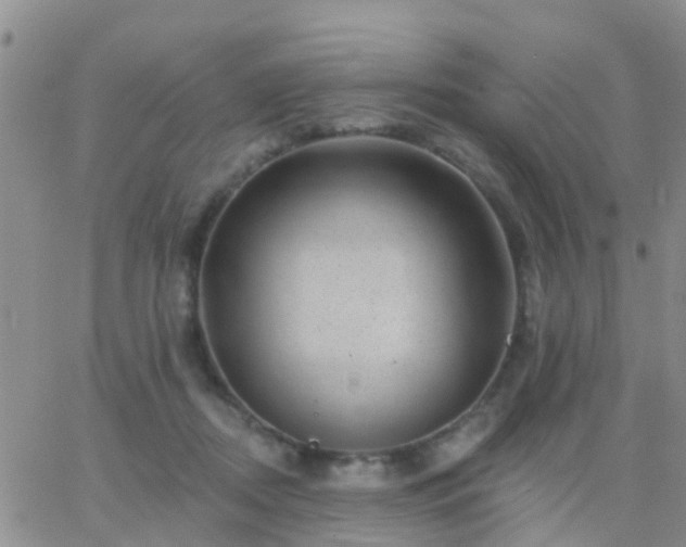 X0000065260362200602242121