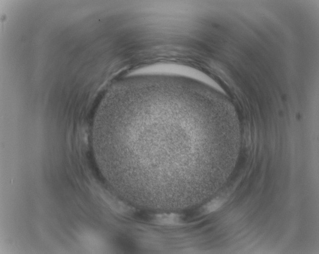 X0000065260363200602242121