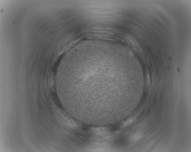 X0000065260367200602242121