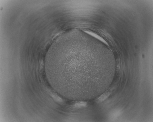 X0000065260369200602242121