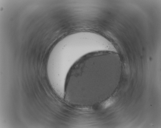 X0000065260370200602242121