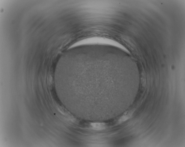 X0000065260371200602242121