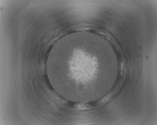 X0000065260372200602242121