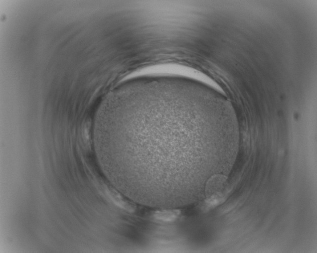 X0000065260373200602242121