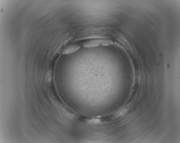 X0000065260374200602242121