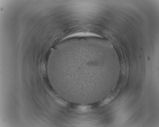 X0000065260375200602242121