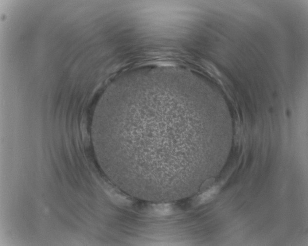 X0000065260377200602242121