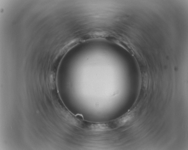 X0000065260378200602242121