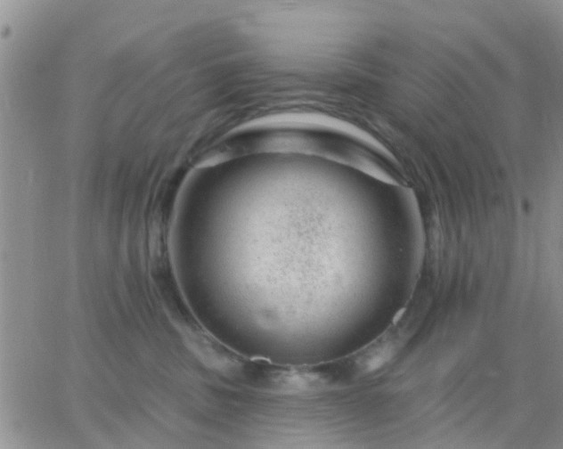 X0000065260379200602242121