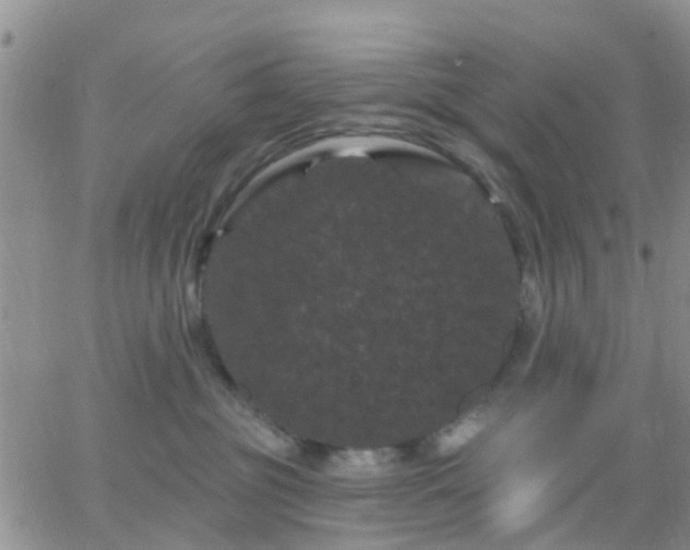 X0000065260381200602242121