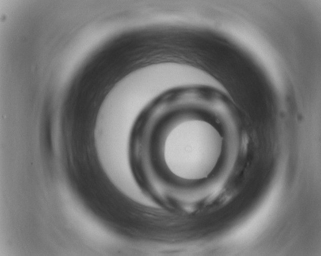 X0000065260382200602242121