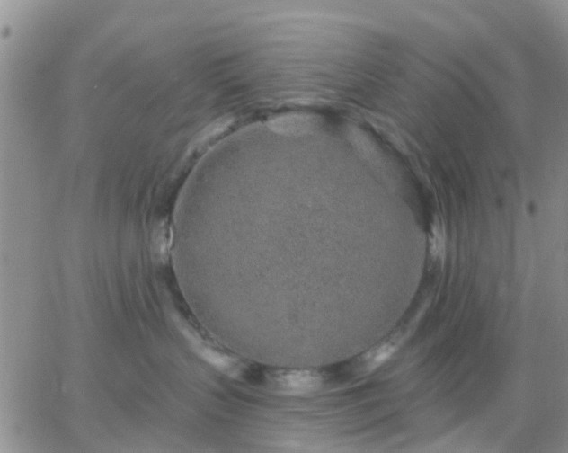 X0000065260383200602242121