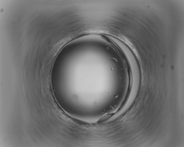 X0000065260385200602242120