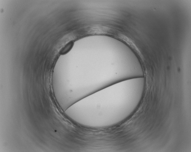 X0000065260386200602242120