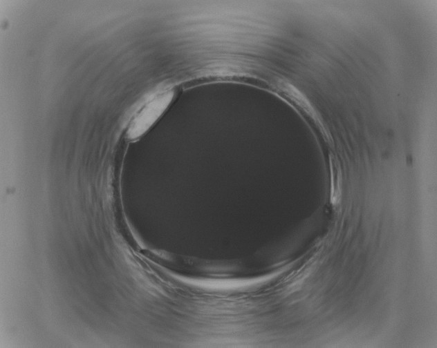 X0000065260387200602242120