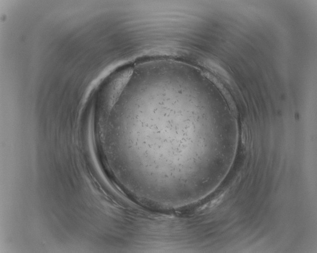 X0000065260388200602242120