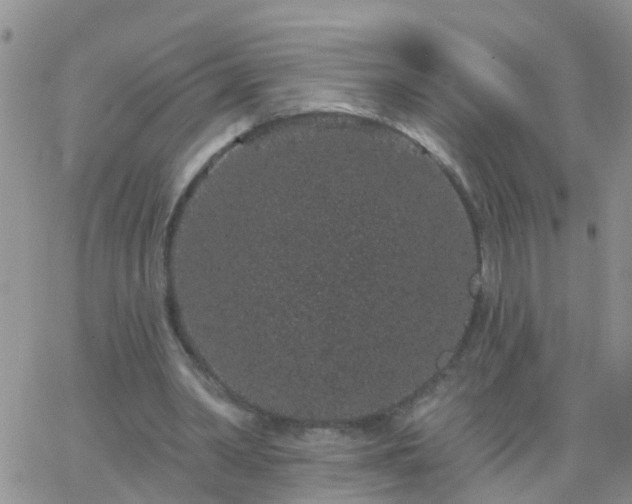 X0000065260390200602242120