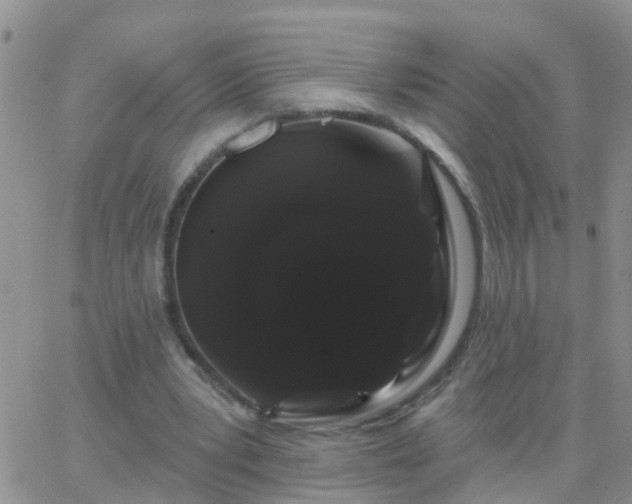 X0000065260391200602242120