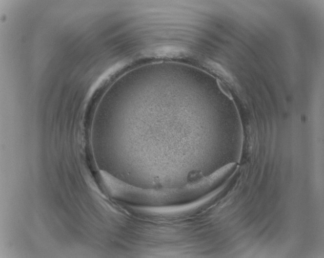 X0000065260392200602242120