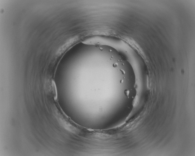 X0000065260393200602242120