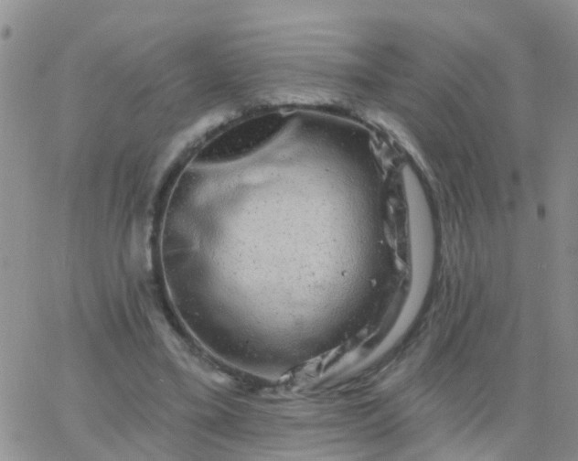 X0000065260395200602242120