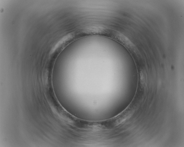 X0000065260396200602242120