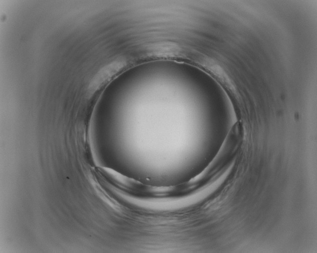 X0000065260397200602242120