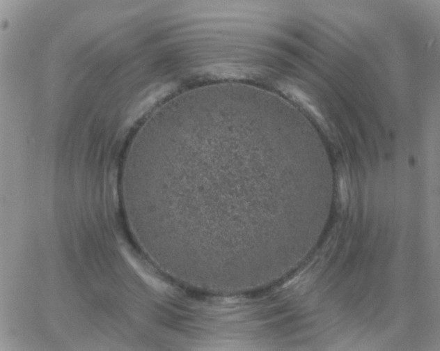 X0000065260398200602242120