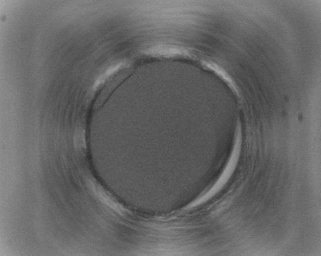 X0000065260399200602242120