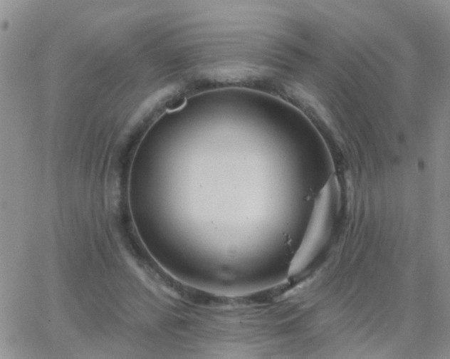 X0000065260400200602242120