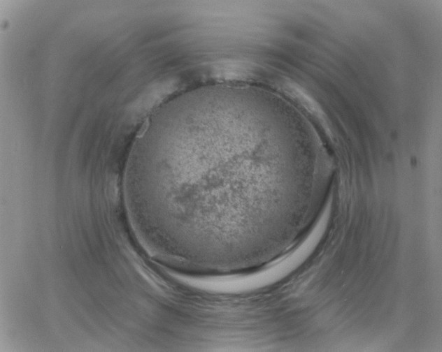 X0000065260401200602242120