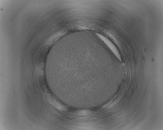 X0000065260402200602242120