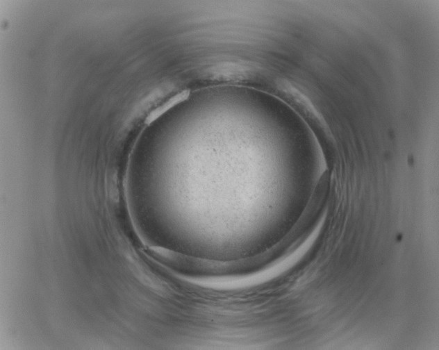 X0000065260403200602242120