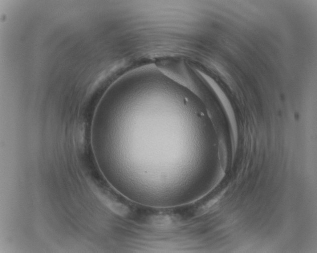 X0000065260404200602242120