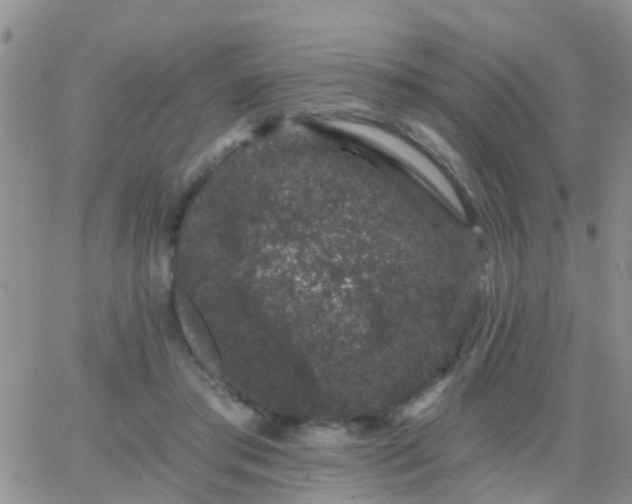 X0000065260405200602242120