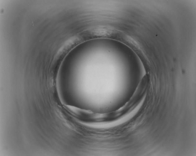 X0000065260407200602242120