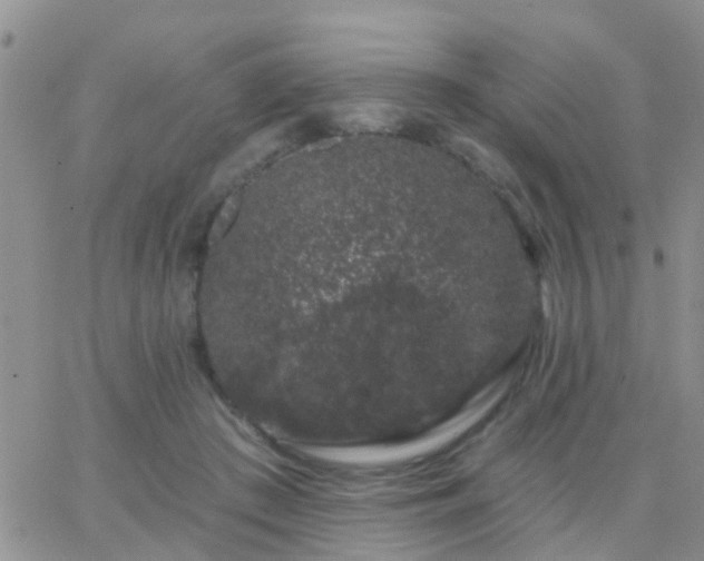 X0000065260409200602242120