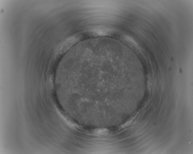 X0000065260410200602242120