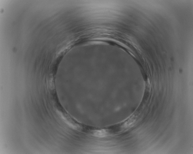 X0000065260411200602242120