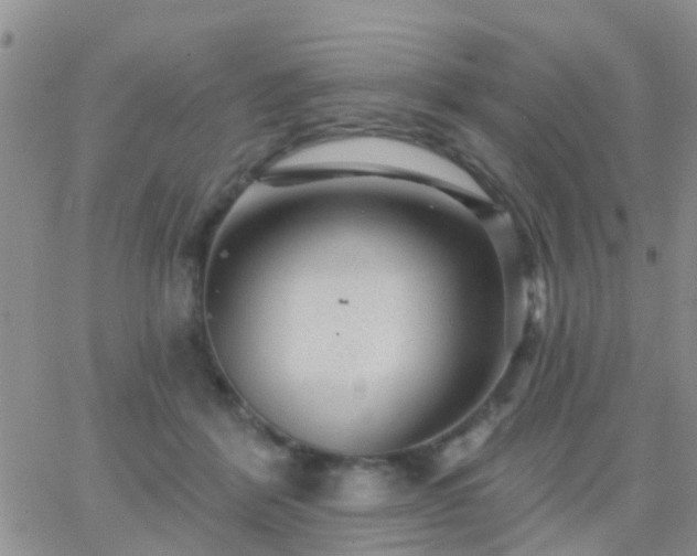 X0000065260412200602242120