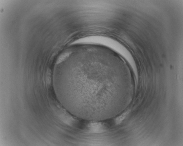 X0000065260413200602242120