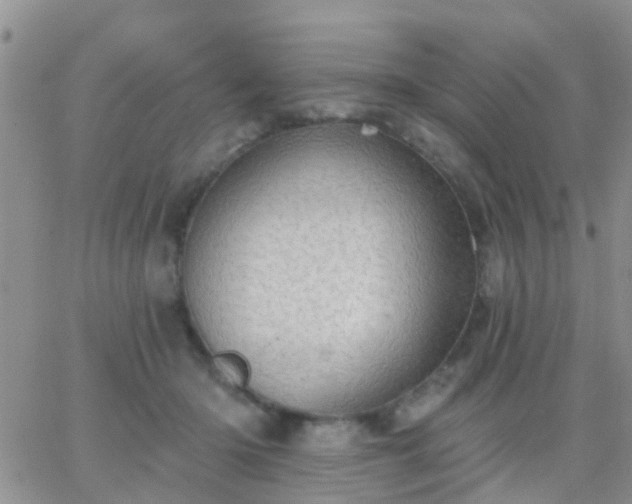 X0000065260414200602242120