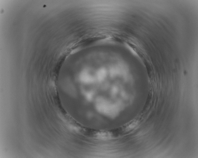 X0000065260415200602242120