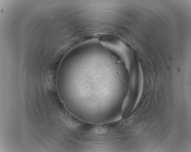 X0000065260416200602242120