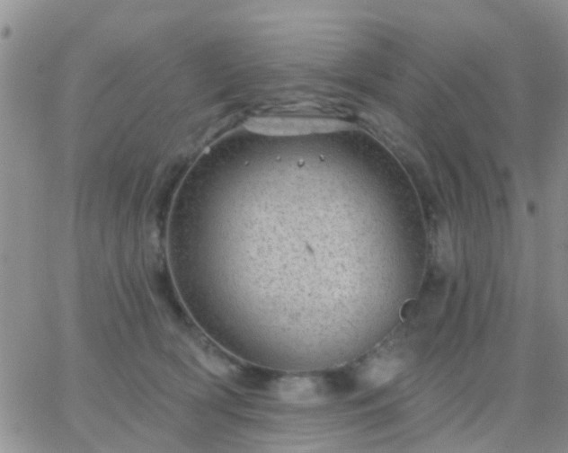 X0000065260418200602242120