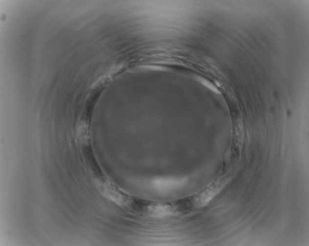 X0000065260419200602242120