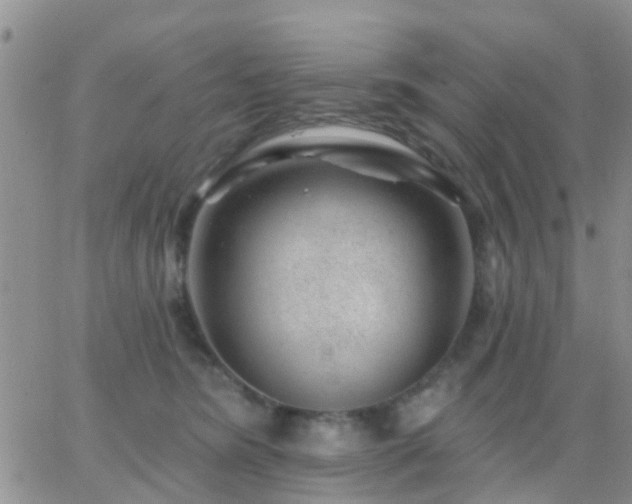 X0000065260420200602242120