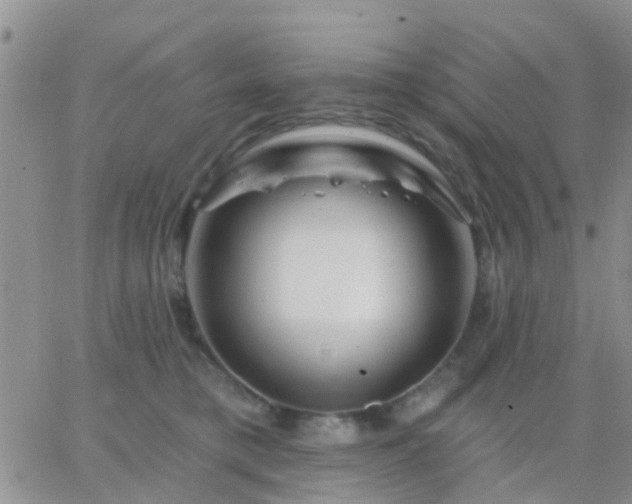 X0000065260421200602242119