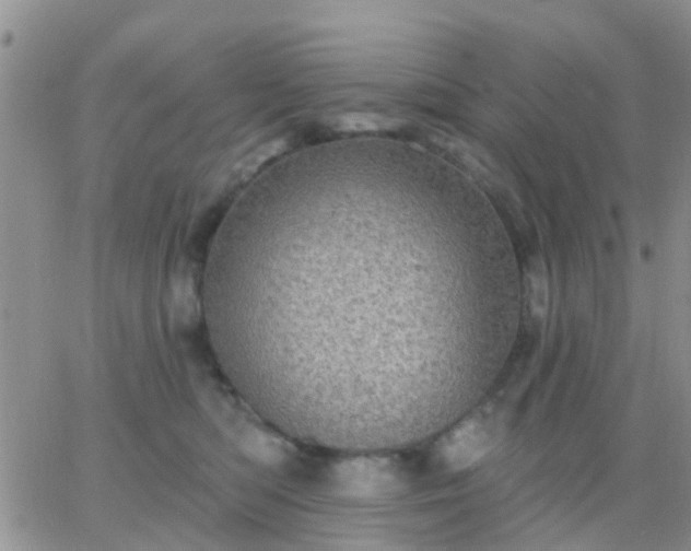 X0000065260422200602242119